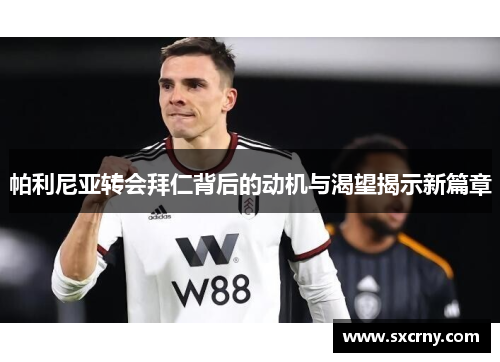 帕利尼亚转会拜仁背后的动机与渴望揭示新篇章