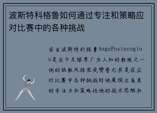 波斯特科格鲁如何通过专注和策略应对比赛中的各种挑战