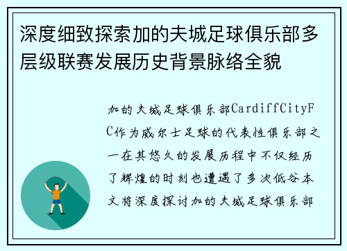 深度细致探索加的夫城足球俱乐部多层级联赛发展历史背景脉络全貌