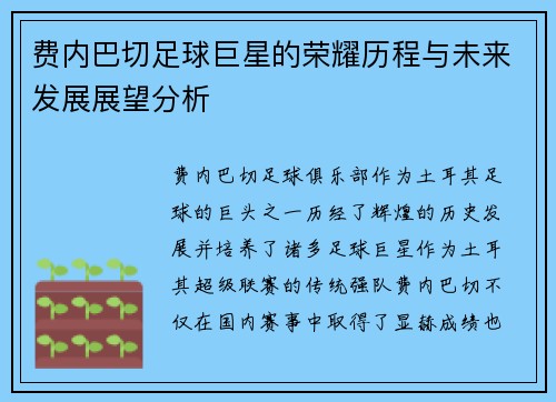 费内巴切足球巨星的荣耀历程与未来发展展望分析 费内巴切足球巨星的荣耀历程与未来发展展望分析